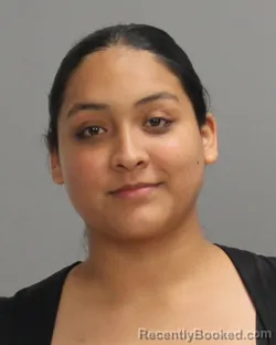 Mugshot of Paola Maria Jimenez booked in Brazos County, Texas on July 4, 2026