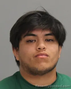 Mugshot of RENE ALEJANDRO SALINAS booked in Brazos County, Texas on July 5, 2026