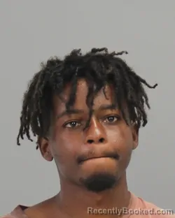 Mugshot of KEVAN OLAMIDE OLUWATAYO IBITAYO booked in Brazos County, Texas on July 5, 2026