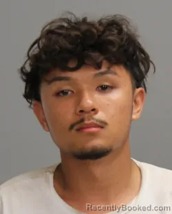 Mugshot of Henry Nguyen booked in Brazos County, Texas on July 7, 2026