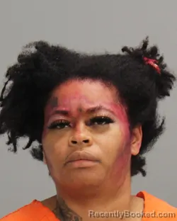 Booking photo from Brazos County, Texas