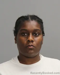 Mugshot of SHATAVIA ANTOINESHIA VISER booked in Brazos County, Texas on July 21, 2026