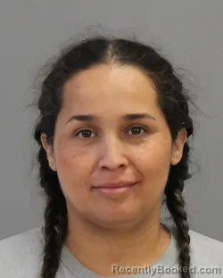 Mugshot of Norma Griselda Hernandez booked in Brazos County, Texas on August 2, 2026