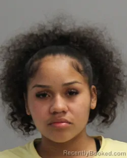 Mugshot of Marisol Yane Perez booked in Brazos County, Texas on August 29, 2026
