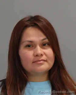 Mugshot of Araceli Ivette Castillo booked in Brazos County, Texas on September 23, 2026