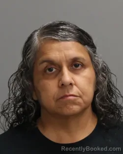 Mugshot of Evelyn Benavides booked in Brazos County, Texas on October 20, 2026
