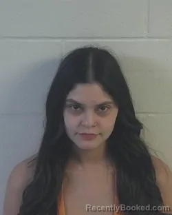 Mugshot of Vanessa Renae Carter booked in Churchill County, Nevada on October 23, 2026