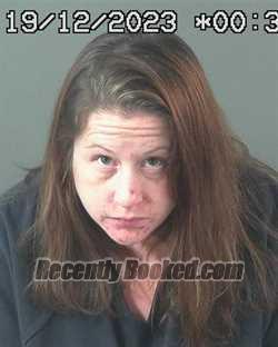 Booking photo from Elko County, Nevada