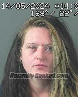 Booking photo from Elko County, Nevada