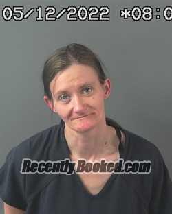 Booking photo from Elko County, Nevada