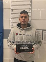 Booking photo from Eureka County, Nevada