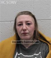 Booking photo from Humboldt County, Nevada