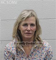 Booking photo from Humboldt County, Nevada