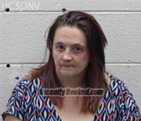 Booking photo from Humboldt County, Nevada