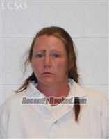 Booking photo from Lander County, Nevada