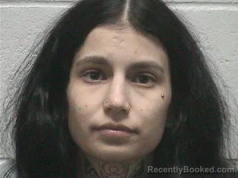 Mugshot of GABRIELLA MARIE MORAN booked in Lyon County, Nevada on April 27, 2026
