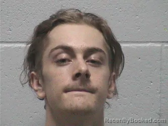 Mugshot of Andrew John Troolines booked in Lyon County, Nevada on August 27, 2026