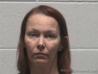 Mugshot of DANIELLE KATRINE WHETSELL booked in Lyon County, Nevada on July 14, 2026