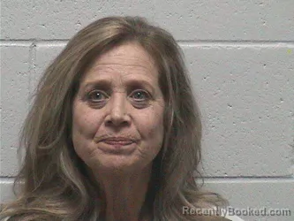 Mugshot of CHERYL LYNN ALLEE