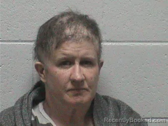 Mugshot of JANELLE LEE PIERCE booked in Lyon County, Nevada on July 11, 2026