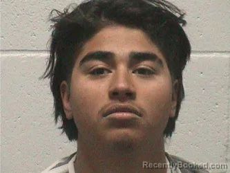 Mugshot of ISAAC ISAIAH LUNA booked in Lyon County, Nevada on April 4, 2026