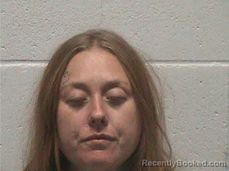 Mugshot of KELLEY DENISE WEDDINGTON booked in Lyon County, Nevada on July 4, 2026