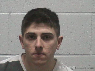Mugshot of RICKY DAVID ARSON booked in Lyon County, Nevada on April 18, 2026