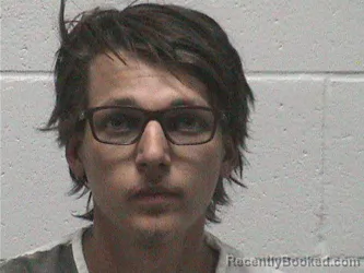 Mugshot of TYLER CURTIS BRAY booked in Lyon County, Nevada on June 4, 2026