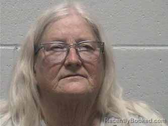 Mugshot of ALYCE MARIE VOLBERDING booked in Lyon County, Nevada on July 28, 2026