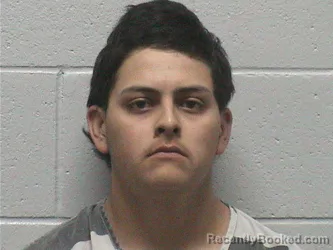 Mugshot of JOAQUIN ISAEL PENA booked in Lyon County, Nevada on April 23, 2026