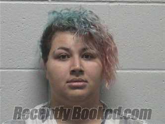 Booking photo from Lyon County, Nevada