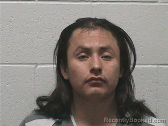 Mugshot of SEAN SUNKA-WAKAN WAKIYA TWO HEARTS booked in Lyon County, Nevada on June 4, 2026