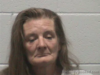 Mugshot of CRISTYN DIANA SCHULTZ booked in Lyon County, Nevada on July 2, 2026