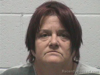 Mugshot of HOPE ERIN BRISBY booked in Lyon County, Nevada on April 28, 2026