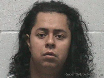 Mugshot of ERICK FABRICIO CARCAMO RAMIREZ booked in Lyon County, Nevada on July 2, 2026