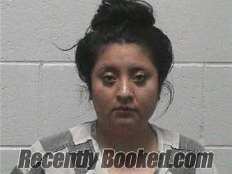 Booking photo from Lyon County, Nevada