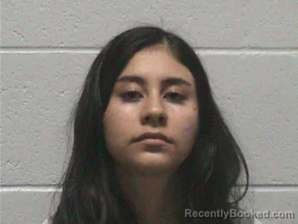 Mugshot of PAMELA NEVEAH CHAVIRA booked in Lyon County, Nevada on July 27, 2026