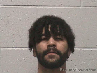 Mugshot of NICHOLAS ROBERT WILSON