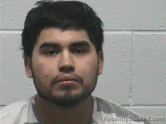 Mugshot of MANUEL ANTONIO MORALESGAMEZ booked in Lyon County, Nevada on April 17, 2026