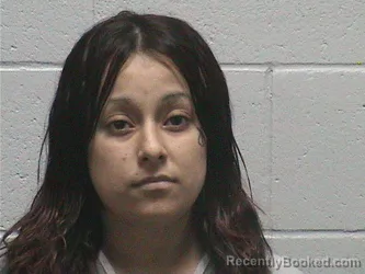 Mugshot of Diana Magali Barrientos-Vicen booked in Lyon County, Nevada on August 14, 2026
