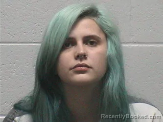 Mugshot of CORTNEY MARIE BEAR booked in Lyon County, Nevada on July 12, 2026