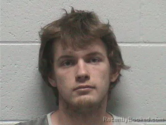 Mugshot of TYLER ALBERT HAIG booked in Lyon County, Nevada on July 6, 2026
