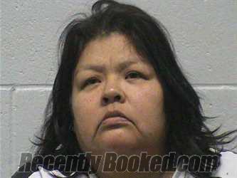 Booking photo from Lyon County, Nevada