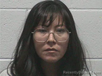 Mugshot of Elizabeth Ann Davis booked in Lyon County, Nevada on August 31, 2026