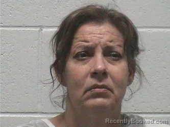 Mugshot of AMANDA LYNN CONN