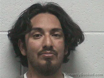 Mugshot of PATRICK DAVID OSCAR LEON booked in Lyon County, Nevada on June 24, 2026