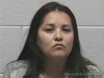 Mugshot of ILENE CHRISTY booked in Lyon County, Nevada on July 12, 2026