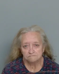 Mugshot of CAROL FARIS KNESEK booked in Nye County, Nevada on June 29, 2026