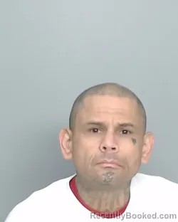 Mugshot of RICHARD HERNANDEZ