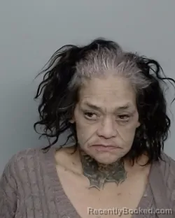 Mugshot of RAQUEL GALLEGOS VALLEJO